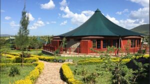 Read more about the article AA Lodge